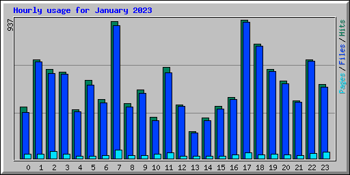 Hourly usage for January 2023