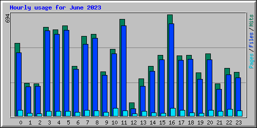 Hourly usage for June 2023